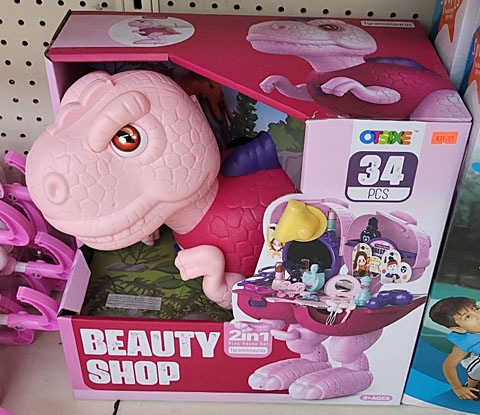 A large, boxed toy sits on a store shelf. The box is two-tone pink, and the toy inside is a very cute superdeformed pink T. rex. Defying expectations, the dinosaur splits open to reveal a beauty shop with 34 pieces of play makeup and jewelry.