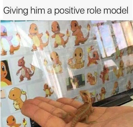 A small orange lizard rests in the palm of someone's hand. It's so small, its body barely reaches across three of the person's fingers. The hand is holding the lizard in front of a computer screen showing rows and rows of images of Charmander, the cute orange Pokemon lizard with a flame on its tail. The image caption reads "Giving him a positive role model."