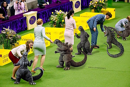 A photo of a fancy dog show, but all the dogs have been replaced with images of Godzilla toys.