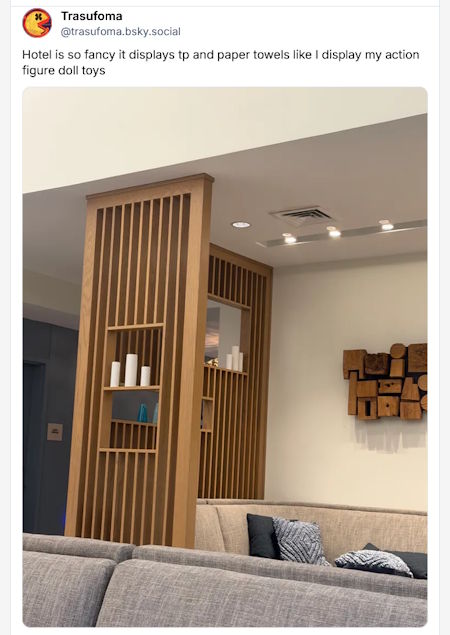 @trasufoma.bsky.social

Hotel is so fancy it displays tp and paper towels like I display my action figure doll toys

*photo of a hotel room with large white candles on floating display shelves*